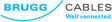 Brugg cables logo