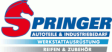Hellmut Springer GmbH & Co. KG logo