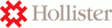 Hollister Incorporated Niederlassung Deutschland logo