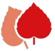 KATHARINENHOF am Dorfanger logo