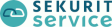 Saint-Gobain Sekurit Service Deutschland GmbH logo