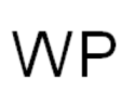 W - P Management Consult GmbH logo