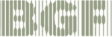 Berliner Glasfaserkabel GmbH - BGF logo