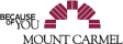 Mount Carmel Health System logo