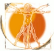 Praxis für Physiotherapie und Osteopathie Inh. Antje Weiß logo