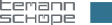 Temann + Schöpe Beratende Ingenieure Part mbB logo