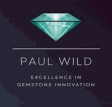 Paul Wild GmbH & Co. KG logo