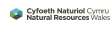Natural Resources Wales logo