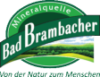 Bad Brambacher Mineralquellen GmbH & Co. KG logo
