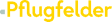 P Immobilien GmbH logo