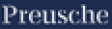 Preusche Steuerberatungsgesellschaft mbH logo