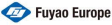 Fuyao Europe GmbH logo