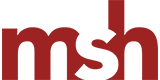 msh Steuerberatungsgesellschaft mbH & Co. KG logo