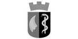 Gemeinde Bad Salzschlirf logo