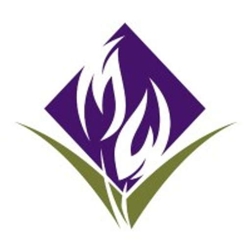 Metrowest Medical Center - Consolidated logo