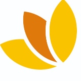 Lilie GmbH logo
