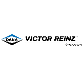 DANA Reinz-Dichtungs-GmbH logo