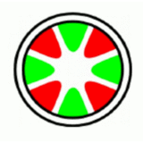 CEOS Corrected Electron Optical Systems GmbH logo
