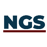 NextGen Solutions - Inh. Fabian Salla logo