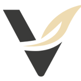 Verus Salus GmbH logo