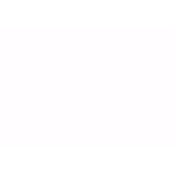 Depot Connect International Duisburg GmbH & Co. KG logo