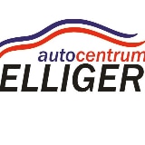 Autocentrum Elliger Inh. Frank Fischer e.K. logo
