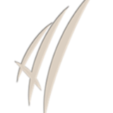 ÜBAG Dres. Widmann & Schrenk logo