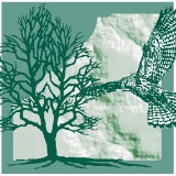 Planungsbüro Dr. Weise GmbH logo