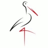 Gutsverwaltung Storch KG logo