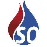 Schadensanierung Ost GmbH & Co. KG logo
