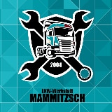Transportunternehmen Dirk Mammitzsch GmbH & Co. KG logo