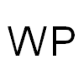 W - P Management Consult GmbH logo