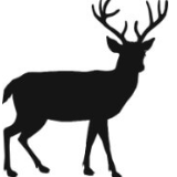 Hirsch-Apotheke logo