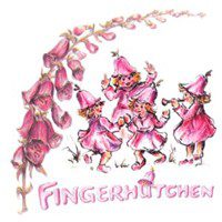Fingerhütchen Integrativer Waldorfkindergarten e.V. logo