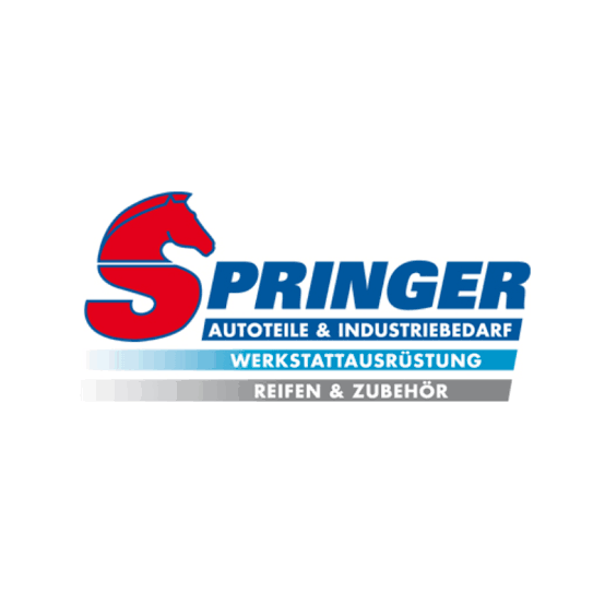 Hellmut Springer GmbH & Co.KG logo